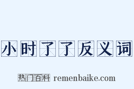 小时了了反义词是什么意思的图片